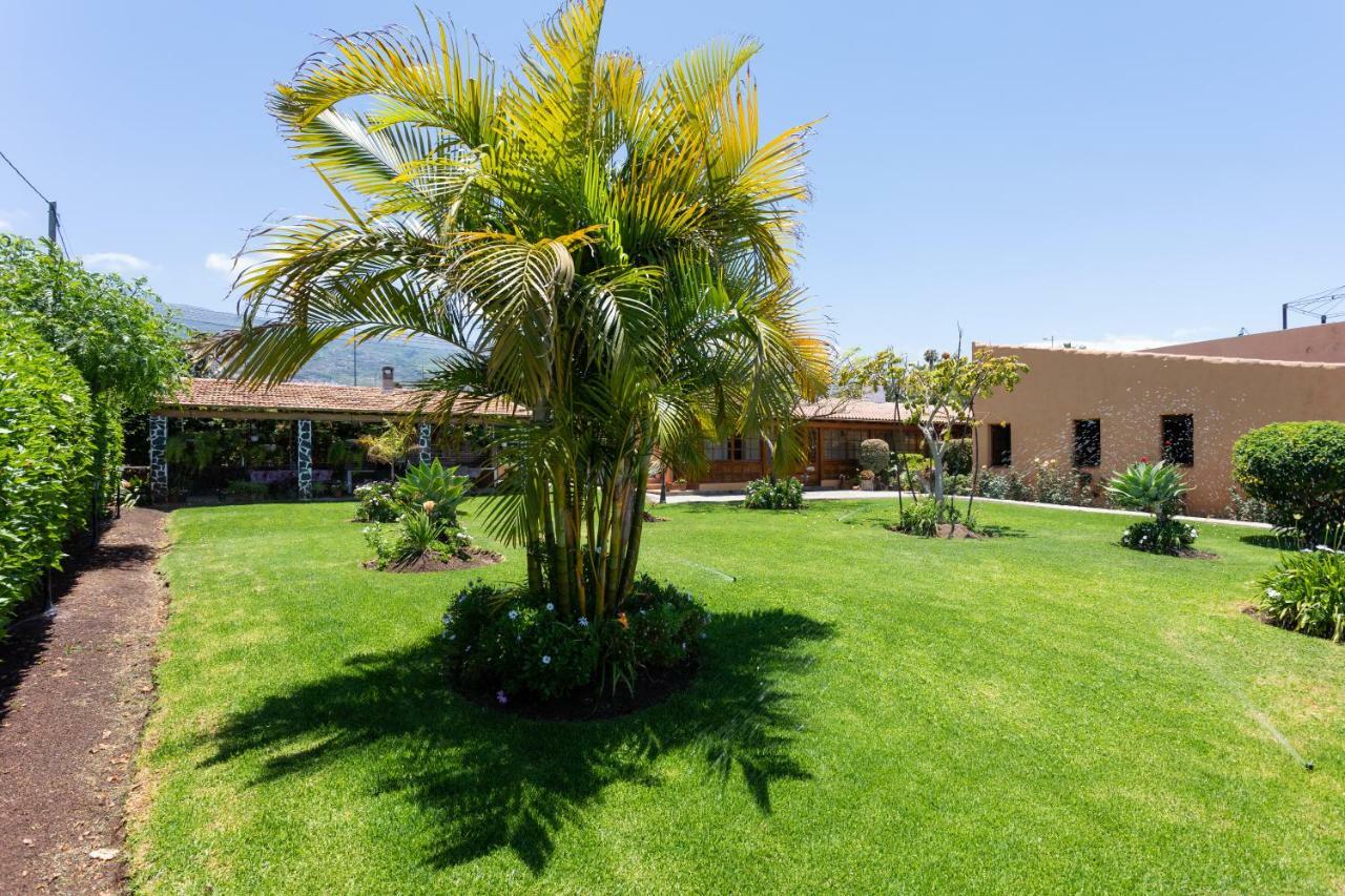 Casa Strelizia - Vivienda Vacacional Puerto de la Cruz  Exterior foto